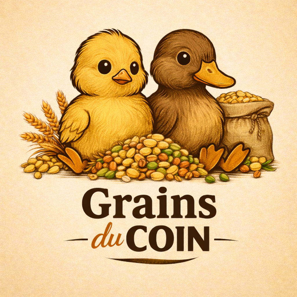 Grains du Coin